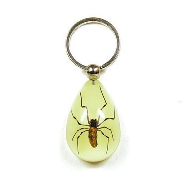 Real Insect Key Chain Spiny Spider 